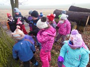 Výprava do lesa, krmení zvířátek